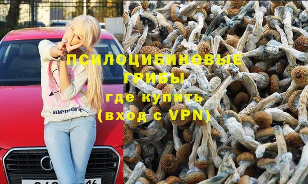 бутират Алексеевка
