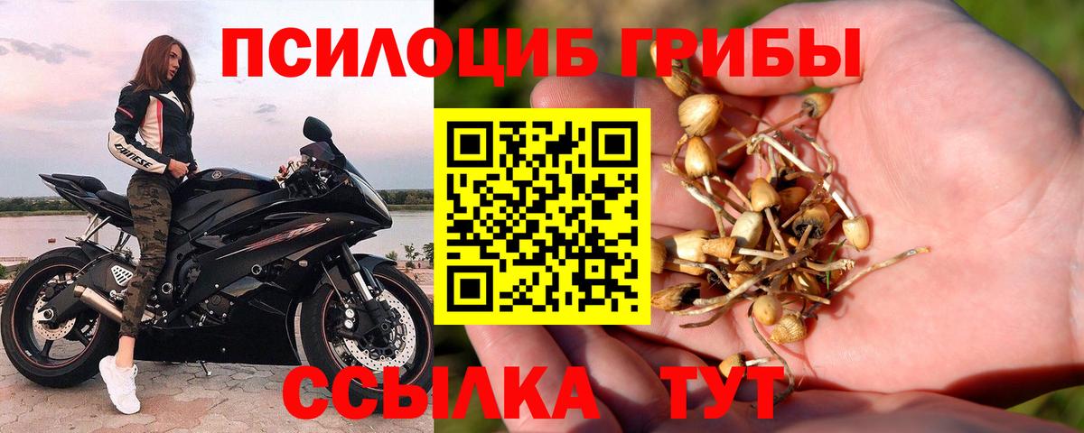 Марихуана Березники
